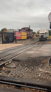 241K views · 3.7K reactions | Tuesday Goose Rides are back! Starting...