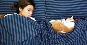 Why Do Cats Like to Sleep With Their Owners? 11 Fascinating Reasons