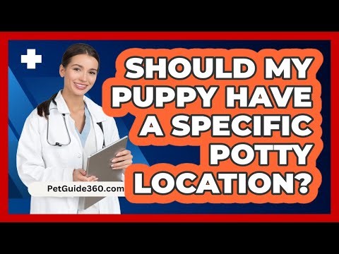 Should My Puppy Have a Specific Potty Location?