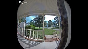 14K views · 169 reactions | You get this notification, your immediate next move is ___________. | Ring | Facebook