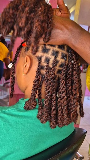 Braidy Salon's Coco Twist Tutorial for 2026