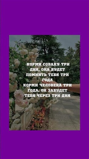 Правда жизни