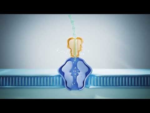 CycloneSEQ-WY01 Nanopore Gene Sequencer