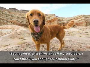 "We can't thank you enough." Have you ever felt so thankful, words just couldn’t express the depth of your gratitude? Watch this video to see how your support of the RedRover Relief program helped save animals’ lives and keep families together. Learn more: http://redrover.org/news/thanksgiving2017/ | RedRover