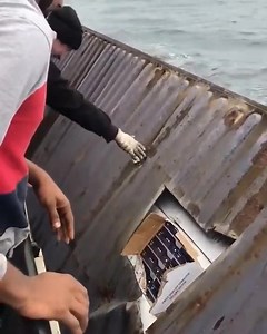 The crew of the Ship found a container full of iPhones drowned in the Ocean #luckoflife2020 #iPhone12 #Boxpack | Swift Connections