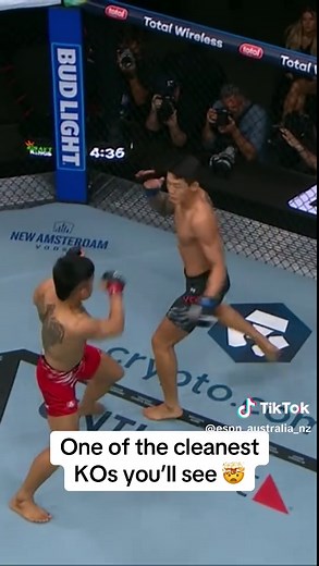Joosang Yoo's Stunning Knockout in UFC 316 Debut