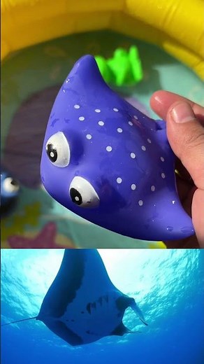 Learn About Ocean Animals: Top Toys, Fun Facts & Names for Toddlers and Preschoolers