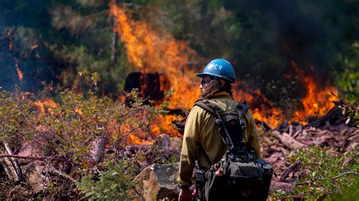 How California's forest management may help reduce the risk of wildfires