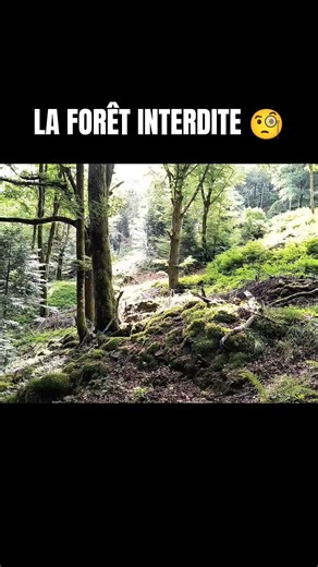Major discoveries made in this mysterious forest | Episode coming soon