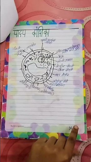 class 9 science project in Hindi medium