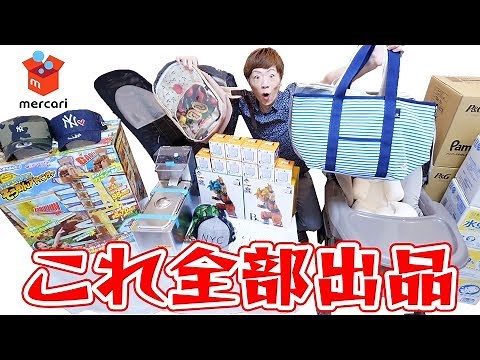 セイキン & ポンちゃん、メルカリに大量出品する。