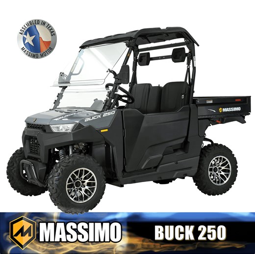 Massimo Motor Sports Buck 250 12 HP UTV with Hard Top Roof Windshield