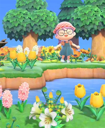 Favorite Areas on Your Animal Crossing Island