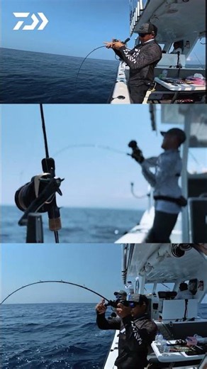 SALTIGA 35 | DAIWA