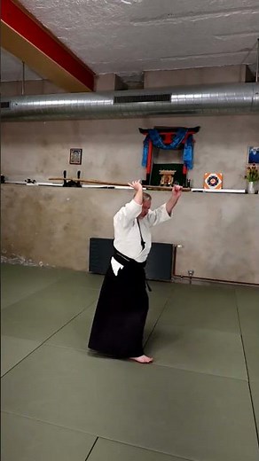 Flowing Hasso no bu practice demonstration #aikido #martialartstraining #weaponstraining