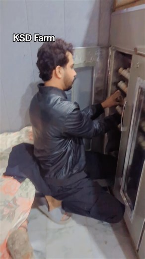 Discover the Charm of KSD Farm Auditions