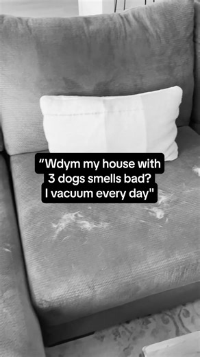 The Sans Air Purifier is built for everything pets bring into your home. 🏠 Cleans 1854 sq. ft every hour 🌱 HEPA Filtration eliminates dust, dander, more ⬛ Activated Carbon removes odors, chemicals, more 👪 Ozone free - safe for your family pets 🤫 So quiet you won’t even notice it’s there | Sans