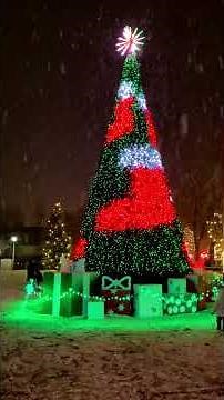 🎄❄️ Estes Park Christmas Tree in a Snowstorm — Pure Mountain Magic ✨
