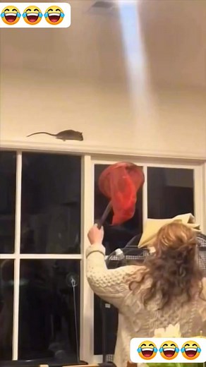 18M views · 486K reactions | OMG William   #fyp #facebookviral #viralreels | Trigger Trae | Facebook