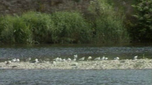 River Tay - lower course and estuary