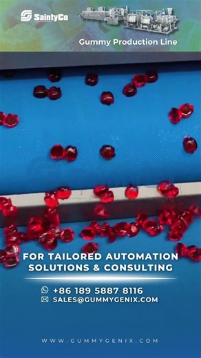 SaintyCo G-Series Hygienic Non-starch Gummy Production Line | Starch-Free Process #machine