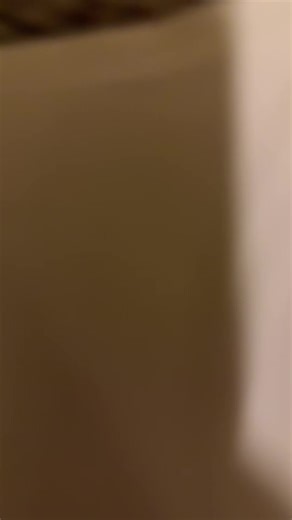 Oeak women bra #tiktokshopblackfriday #tiktokshopcreatorpicks