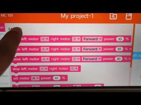 My Project-1 Whales Bot