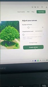 Turn any photo into a paint-by-number – free 🎨