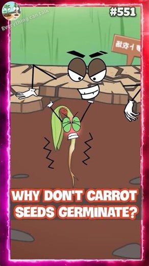 #S551 | Why don't carrot seeds germinate? #animation