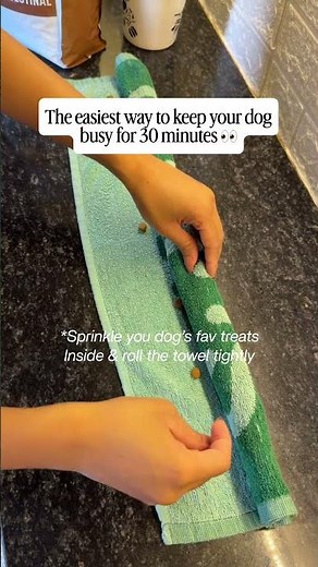 The Easiest DIY Dog Enrichment Game 🐶 Keeps Dogs Busy for 30 Minutes! #shorts