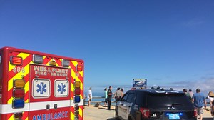 Police: Man Dies After Shark Attack Off Cape Cod