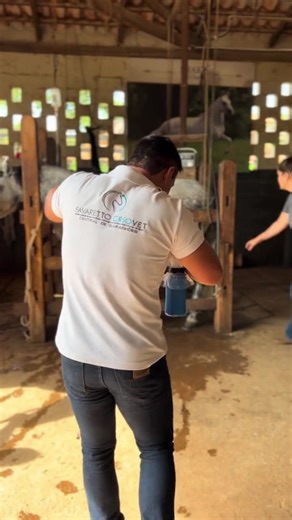 #caballos #cavalos #foryoupage #horses #amazing