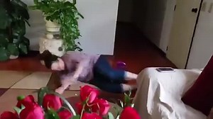 Funny Bikini Girl Fails