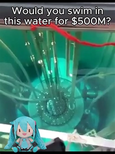 Miku and the Price of Swimming in Suspicious Waters