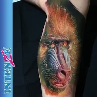 Boristattoo Mind blowing #baboon in progress by Boris using his Color Pigment Series by Intenze. Get your Boris from Hungary Color Pigment Series at: Shop.intenzetattooink.com/collections/boris-from-hungary-color-pigment-series Alucinante #babuino en progreso por Boris utilizando su Serie de Pigmentos de Color por Intenze. Compra tu Serie Pigmentos de Color de Boris de Hungría en: Shop.intenzetattooink.com/collections/boris-from-hungary-color-pigment-series #tattoo #tattoos #realism #realisticta