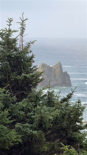Your daily dose of Cannon Beach, Oregon therapy from Ecola State Park. Salty Raven stores are open 11-5 everyday. Cannon Beach * Tillamook * Astoria Saltyraven.net #ecola #ecolastatepark #cannonbeach #cannonbeachoregon #pnwonderland #pnw #oregon #oregoncoast #photography #naturephotography #bestoforegon #bestoforegoncoast #saltyraven #saltyravenastoria #saltyravencannonbeach | Salty Raven Cannon Beach
