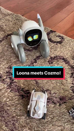I love the way Loona interacts using her ear with Cozmo towards the end😍 @Vector Robots #vectorrobot #vector #fyp #ddl #vectorhappy #loona #cozmo