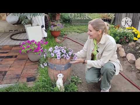 Как сделать уют на даче своими руками. Секреты красивого сада