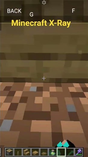 Minecraft X-Ray Hack 🩻 #shorts #virlshort #viral #minecraft