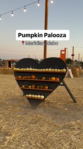 7.3K views · 1.1K reactions |  Pumpkin Palooza @pumpkinpaloozatv...