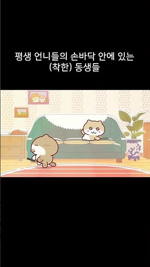 언니들의 낙