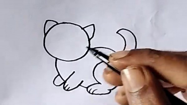 Cat drawing easy step by step/how to draw a cat/animal drawing