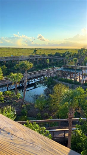Not all treasures are on a map… 🌿 The Everglades Elevated Boardwalk is the ultimate hidden gem in Weston — perfect for strolls, photography, and spotting wildlife up close. 📍: 35000 Everglades Pkwy, Weston, FL | Visit Lauderdale