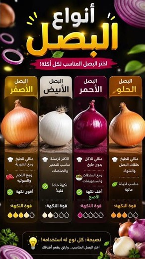 أنواع #البصل الأربعة 🧅 | الفرق بين البصل الأصفر والأبيض والأحمر والحلو وأفضل استخدام لكل نوع