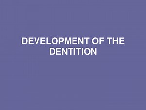 Development of the Deciduous Dentition: Stages & Characteristics - SlideServe