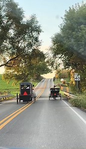 532K views · 2.8K reactions | Amish Buggy Racing #amish #amishlife #amishcountry #amishmade | Amish Love | Facebook