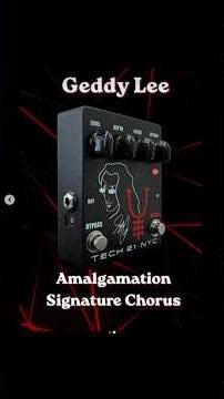 TECH21 Geddy Lee 新シグネチャーCHORUSペダル「Amalgamation Chorus」紹介 in NAMM SHOW 2026 #tech21 #Geddylee