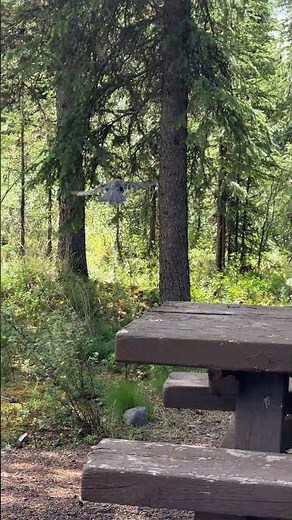 Cute Girls Went Camping at Wrangell-St. Elias National Park | Alaska Wilderness Adventure! #shorts