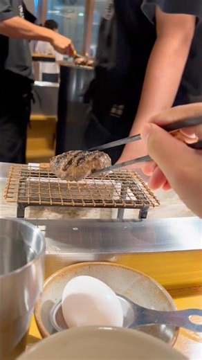 Hikiniku to come - Japanese Hamburg on the rice concept