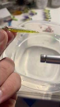 Micro Clouser Minnow for creek fishing